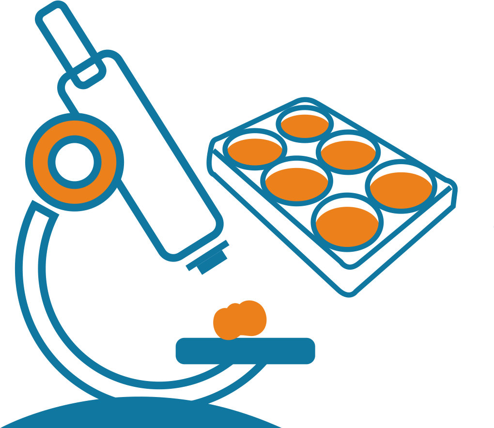 Ochratoxin Rapid Test for Cereals & Feed